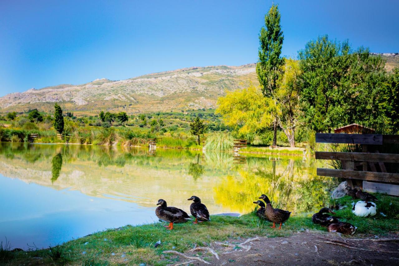 Camping La Peiriere Tuchan Ngoại thất bức ảnh